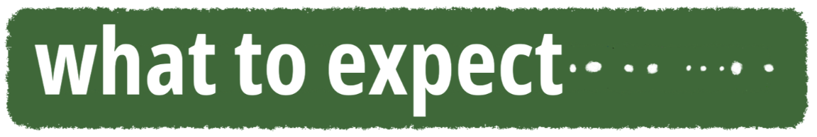 What to expect...